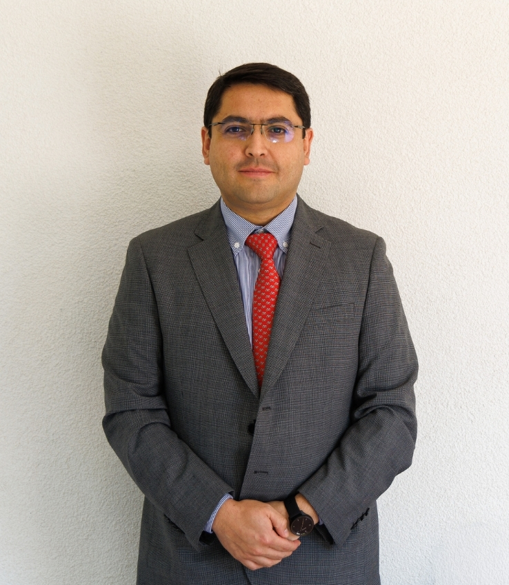 Organización del Colegio