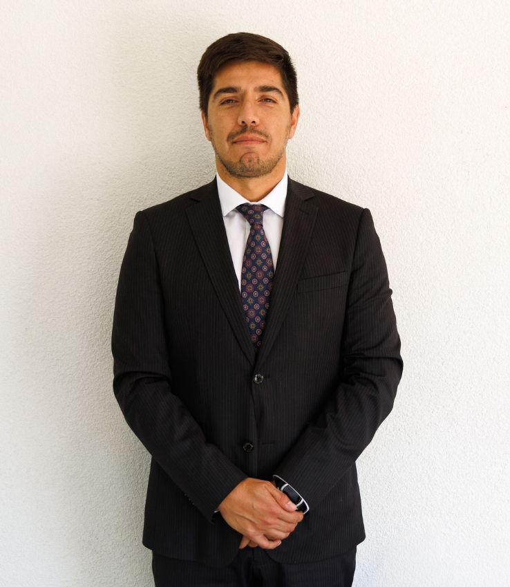 Organización del Colegio