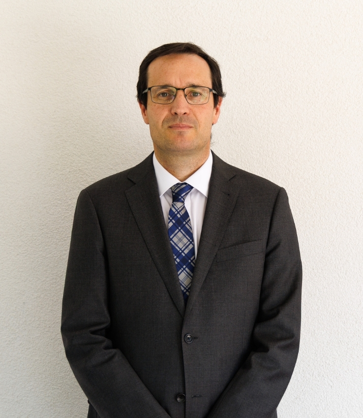 Organización del Colegio